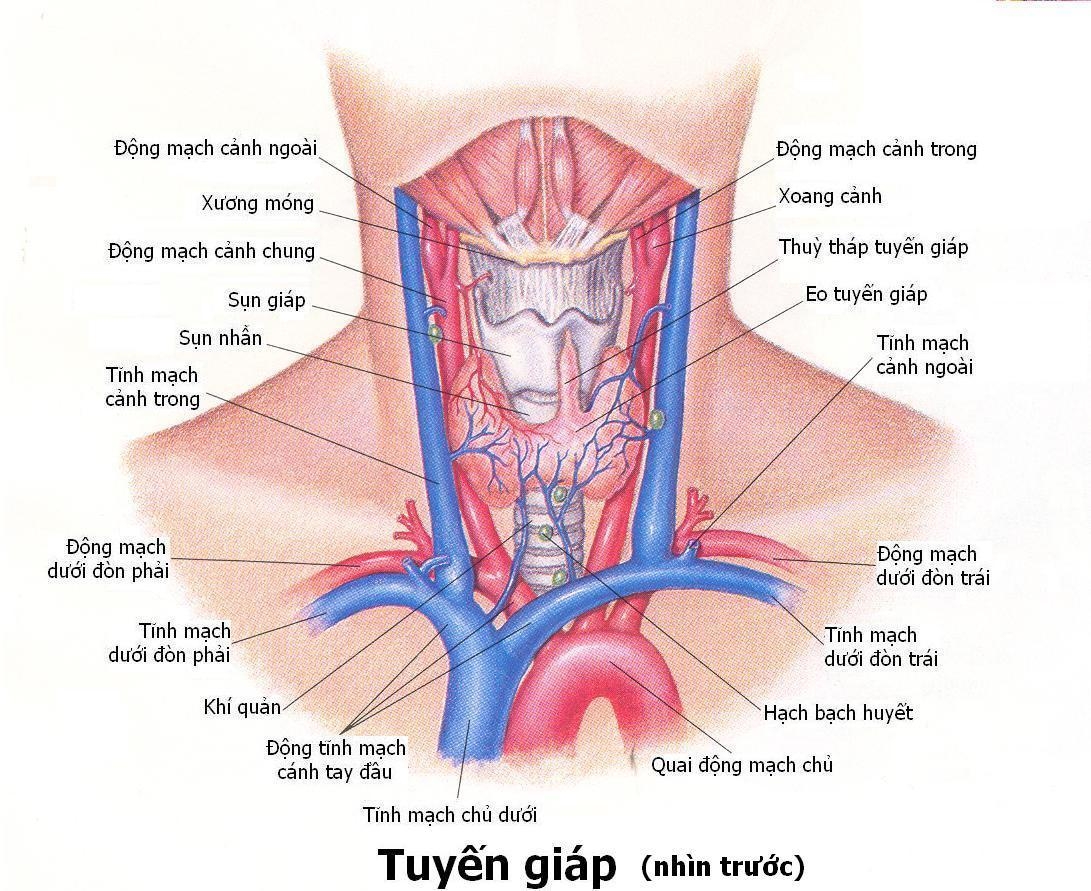 Có cần đến chuyên gia chuyên khoa khác như nhà dinh dưỡng hay bác sĩ thần kinh để điều trị viêm tuyến giáp?