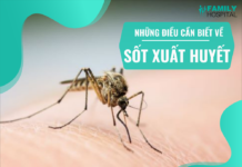 Những điều cần biết về bệnh sốt xuất huyết