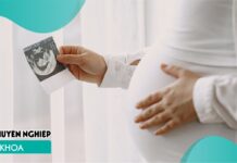 Các triệu chứng thường gặp khi mang thai và sự ảnh hưởng của nó trong đời sống hàng ngày?