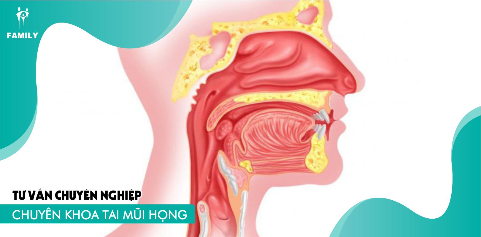 Những nguyên nhân và cách phòng ngừa bệnh đau họng có lây không phổ biến