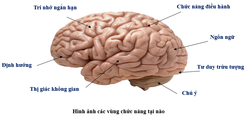 sstt.1
