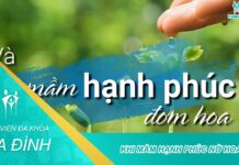 Khi mầm hạnh phúc đơm hoa