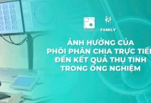 Ảnh hưởng của phôi phân chia trực tiếp đến kết quả thụ tinh trong ống nghiệm