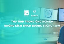 Thụ tinh trong ống nghiệm không kích thích buồng trứng – IVM